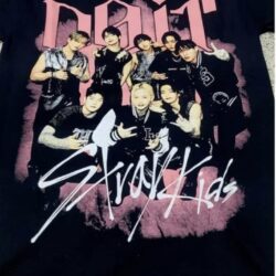 polera stray kids unisex
